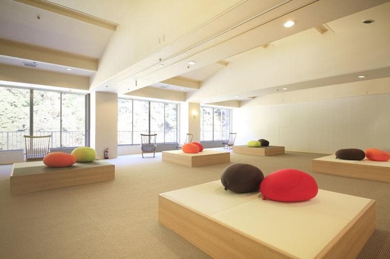 Hakone Pax Yoshino (Adults only) 2