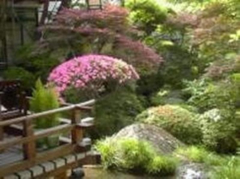 Arai Ryokan 5