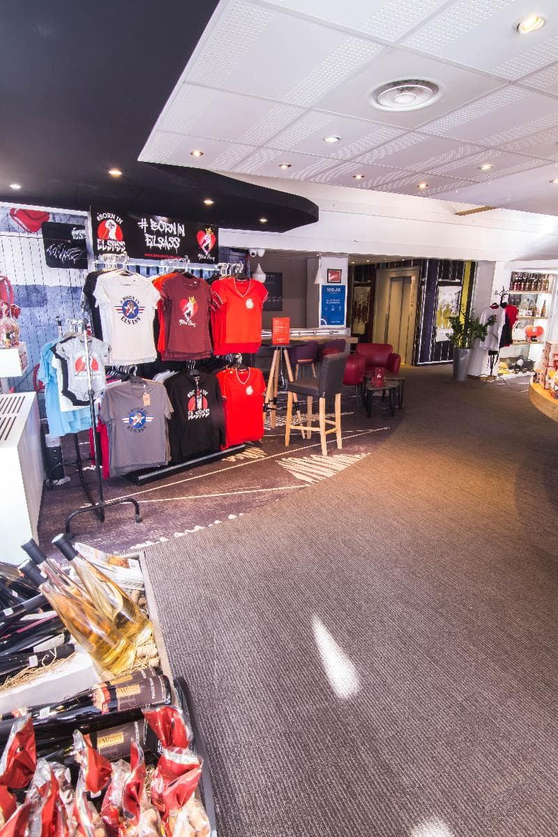 Hôtel ibis Colmar Horbourg-Wihr 5