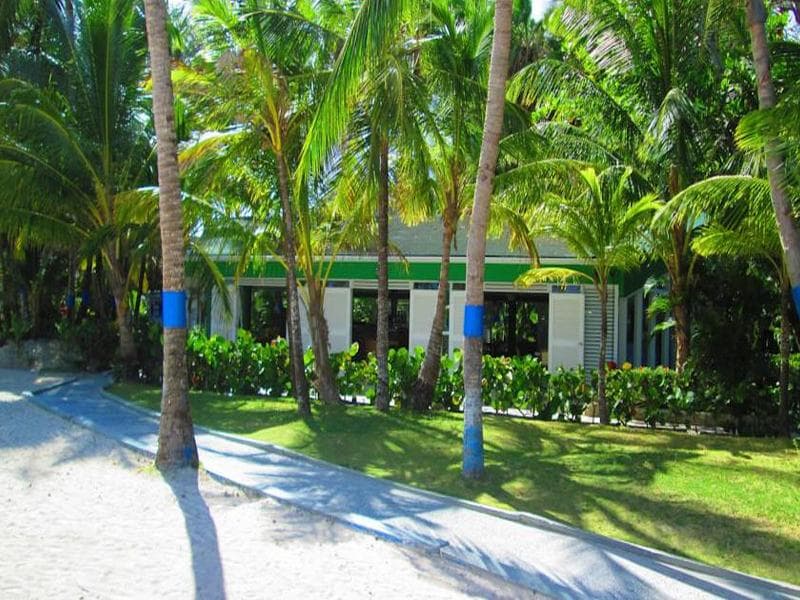 Decameron Marazul 4