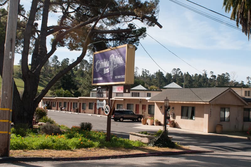 Cambria Palms Motel photo 1