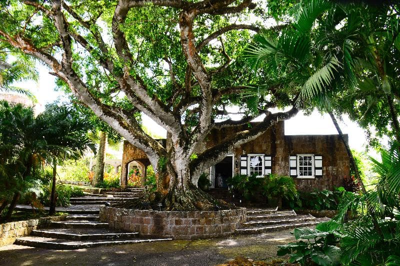 Montpelier Plantation & Beach (Adults Only) 1
