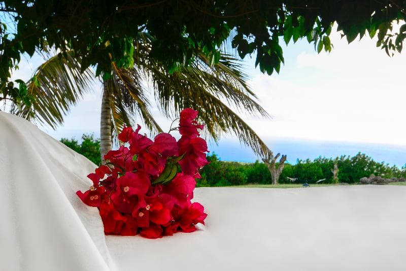 Montpelier Plantation & Beach (Adults Only) 4