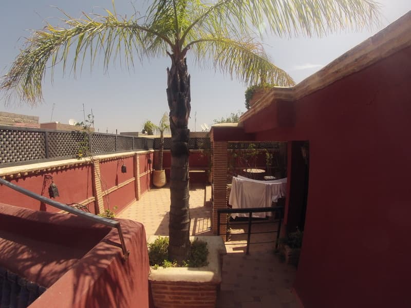 Riad Le Plein Sud 4