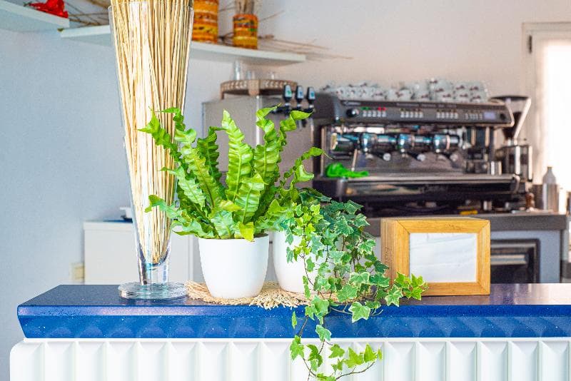Pietrablu Resort & SPA 2