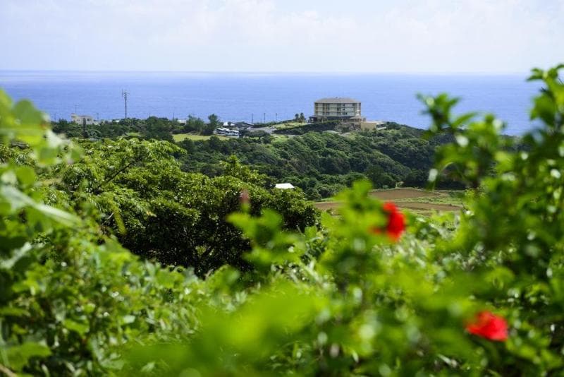 Yakushima Iwasaki Hotel photo 1