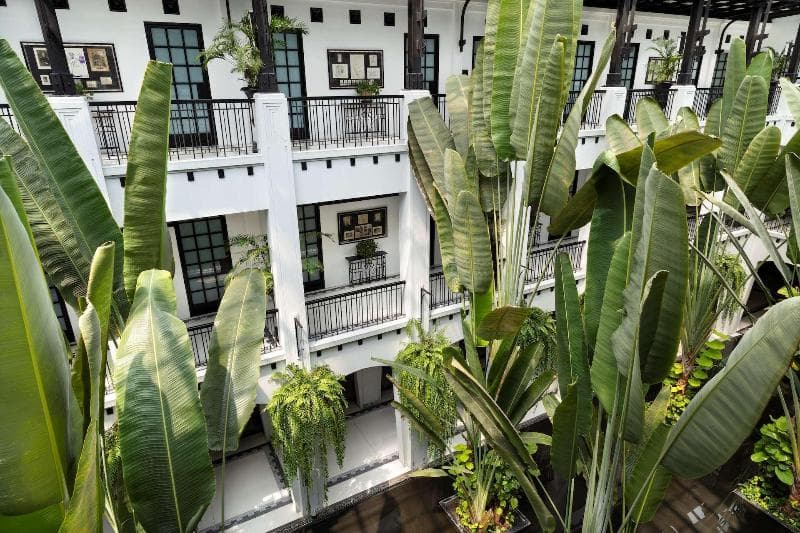 The Siam 5