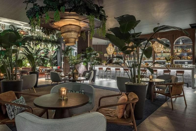 THesis Hotel Miami Coral Gables, Curio Collection by Hilton 3