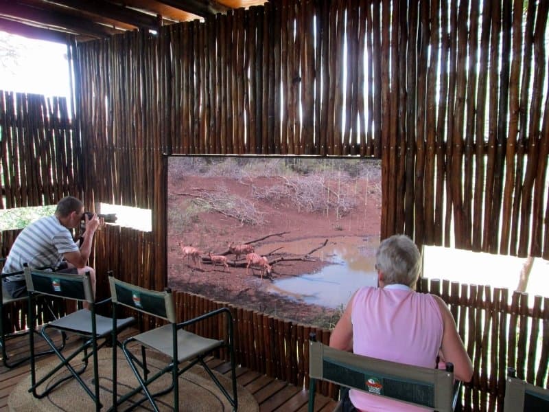 Leopard Mountain Safari Lodge (Adults only) 3