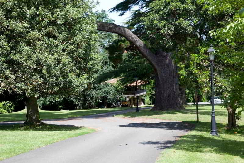 Quinta Duro 5