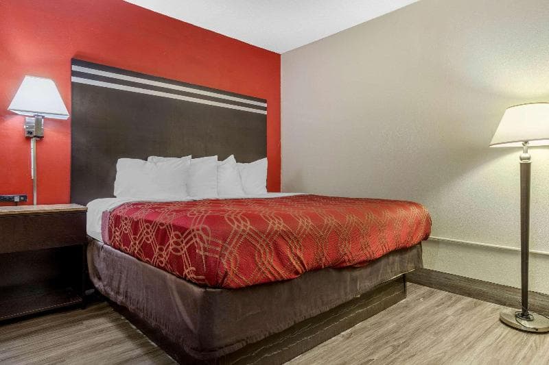 Econo Lodge Fort Jackson 3