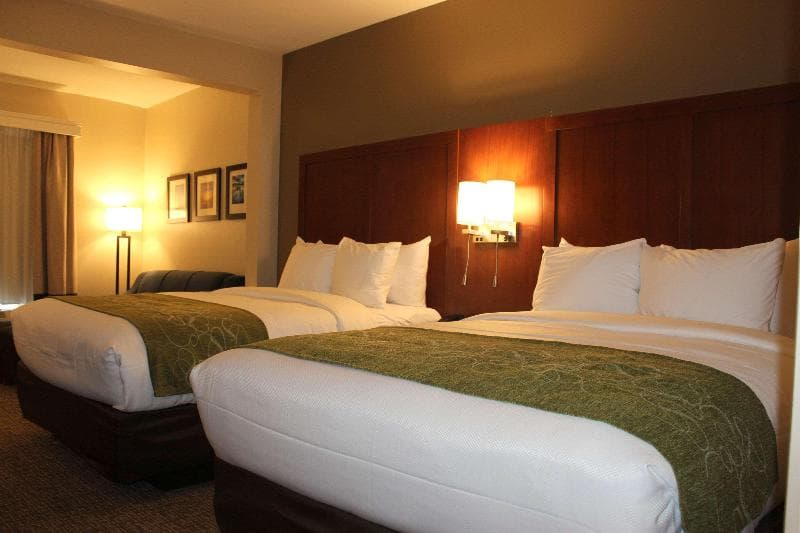 Comfort Suites Near Camp Lejeune 5