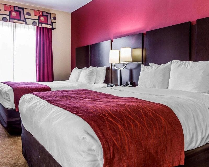 Comfort Suites South Atlanta Area 2