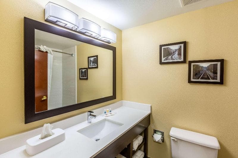 Comfort Suites Near Robins Air Force Base 2