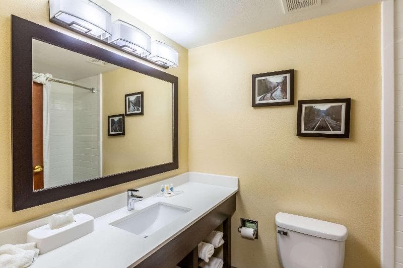Comfort Suites Near Robins Air Force Base 4