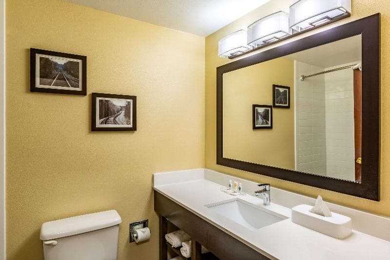 Comfort Suites Near Robins Air Force Base 5