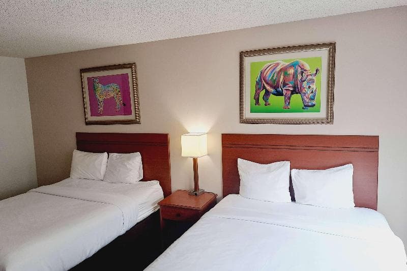AmericInn by Wyndham Omaha Near Zoo 4