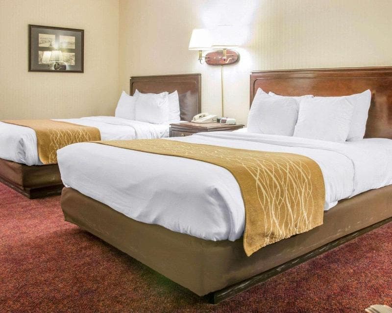 Comfort Inn Lakeside photo 1