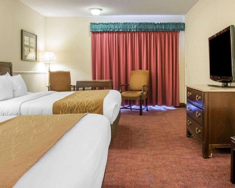 Comfort Inn Lakeside 4