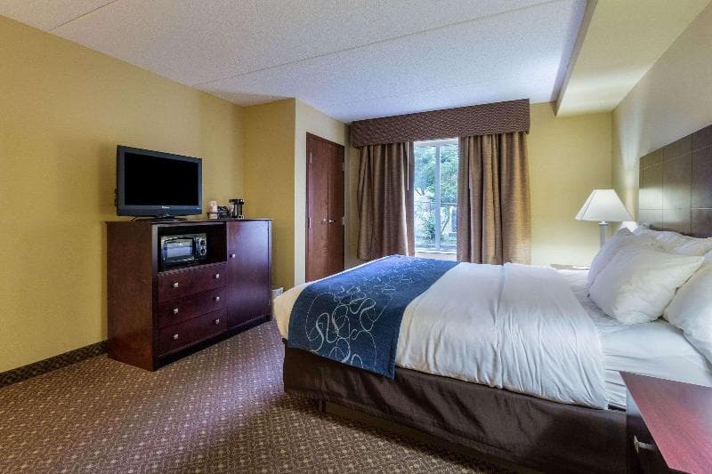 Comfort Suites Near Gettysburg Battlefield Visitor Center 5