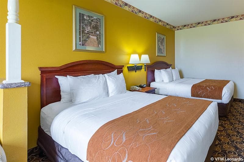 Comfort Suites near Texas Medical Center – NRG Stadium 2