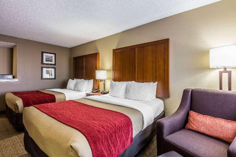 Comfort Inn & Suites Airport-American Way photo 1