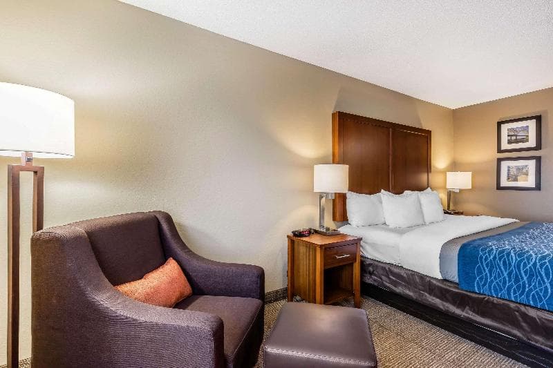 Comfort Inn & Suites Airport-American Way 3