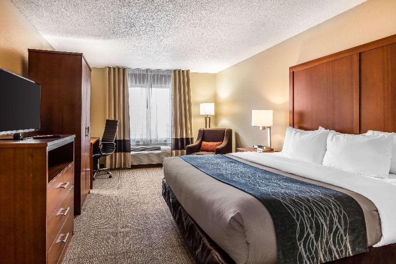 Comfort Inn & Suites Airport-American Way 4