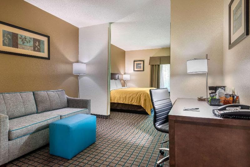 Comfort Inn & Suites 3