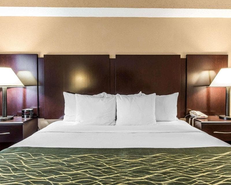 Comfort Inn and Suites Robins AFB 2