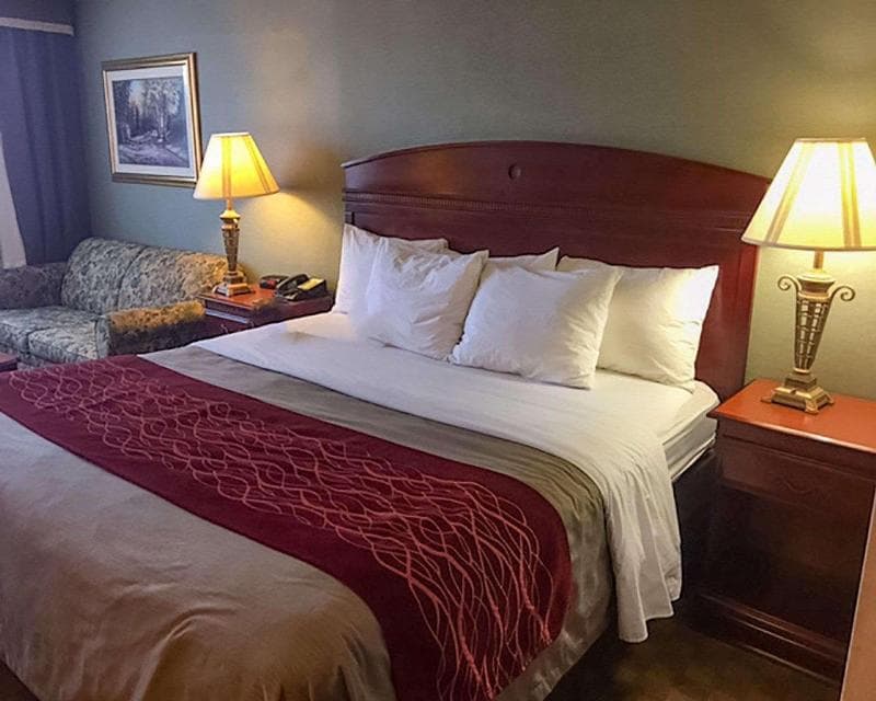Comfort Inn Springfield photo 1