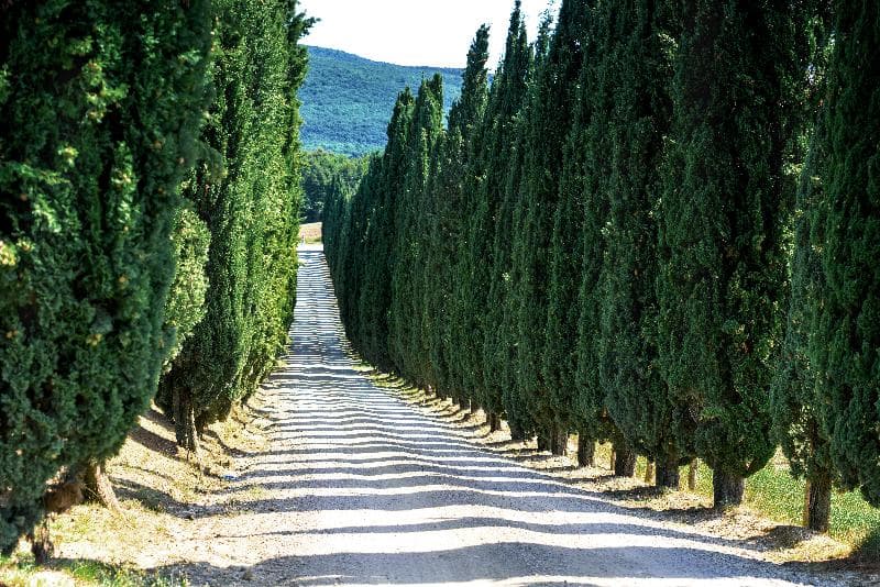 Borgo di Pietrafitta Relais 3