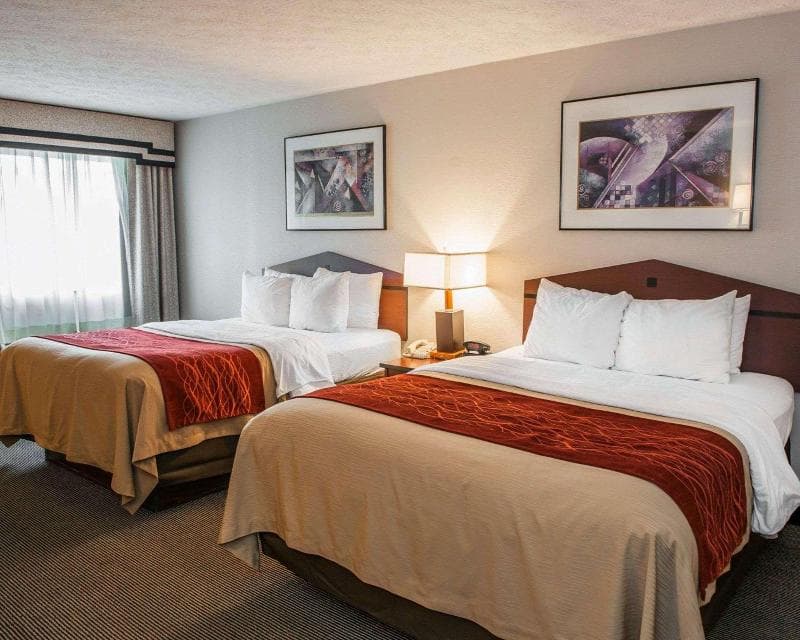Comfort Inn 4