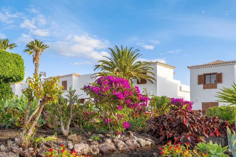 Royal Tenerife Country Club 4