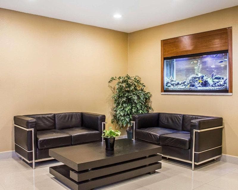 Comfort Inn Brooklyn 5