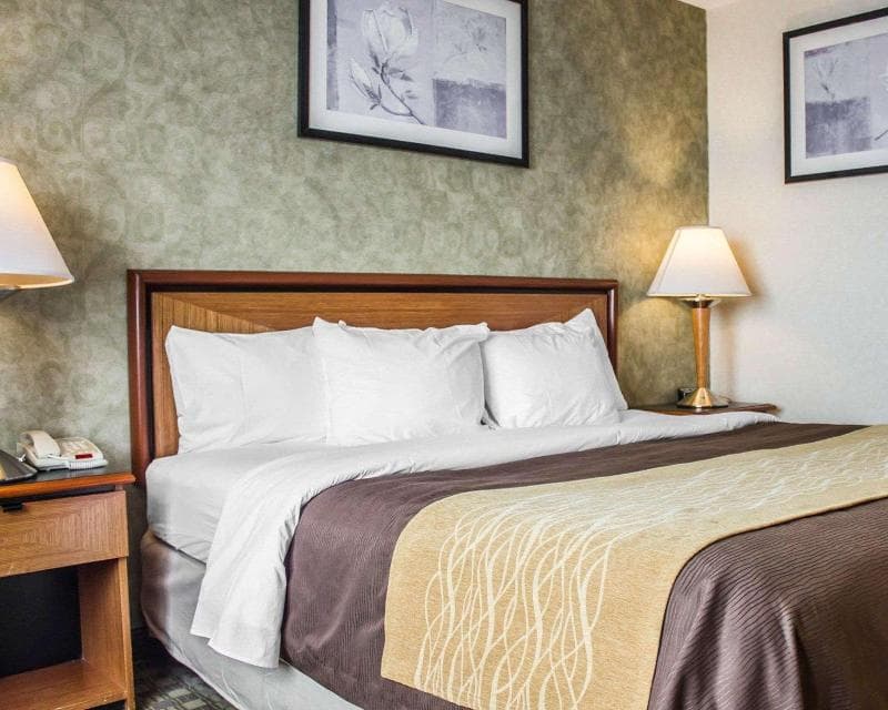 Comfort Inn Brooklyn 4