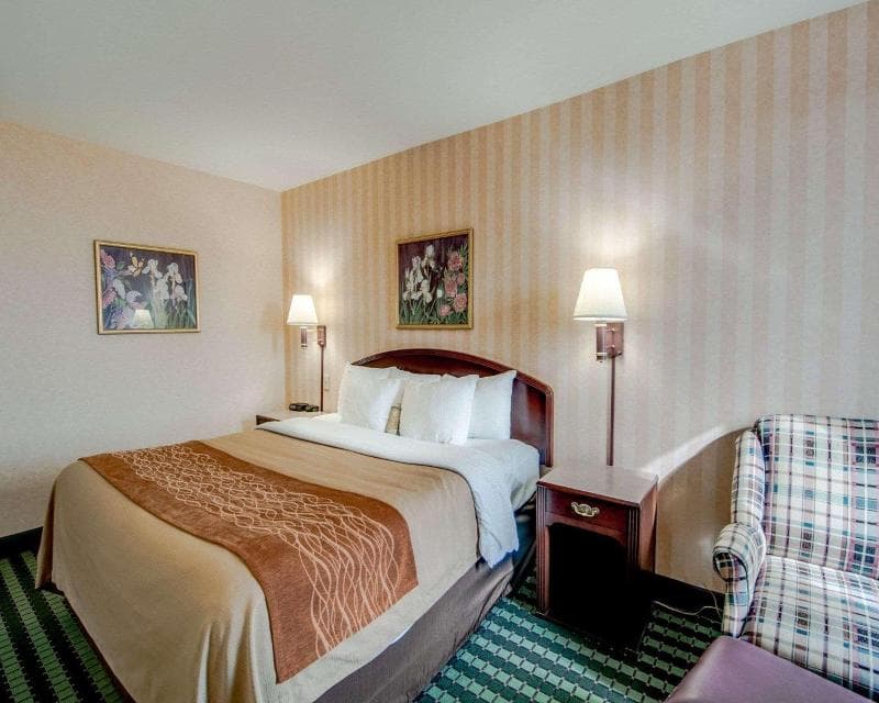 Comfort Inn Airport 4