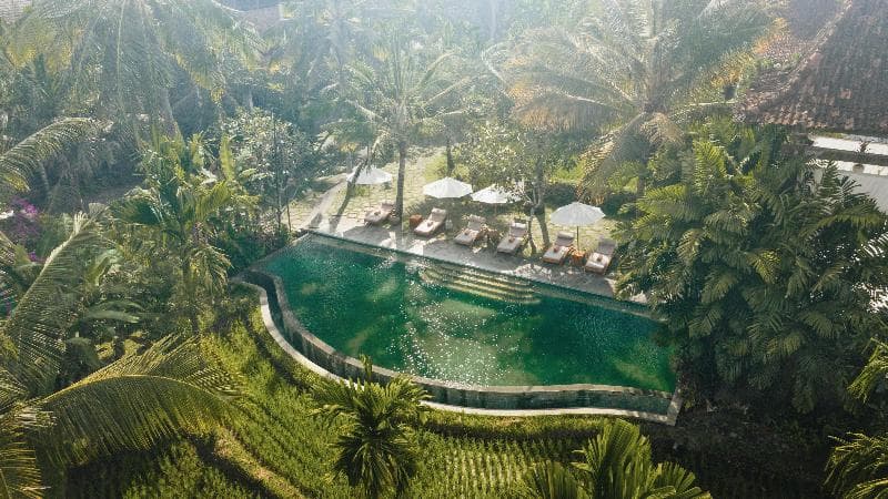 Alaya Resort Ubud photo 1