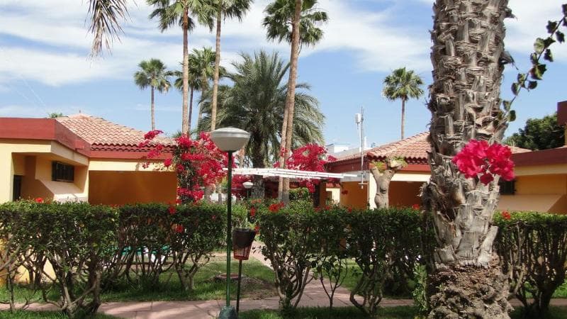 Bungalows Artemisa (Adults only) main