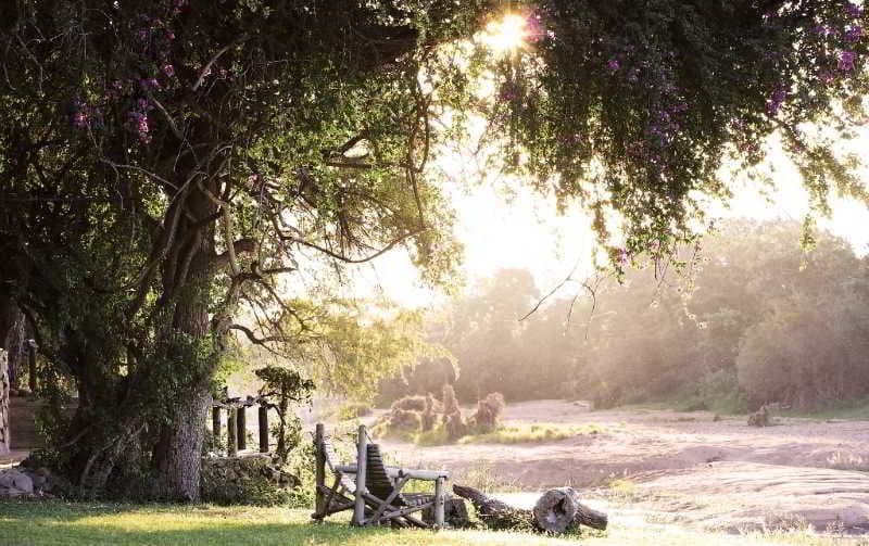 Motswari Private Game Reserve main