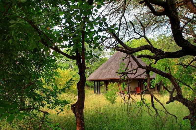 Motswari Private Game Reserve photo 1