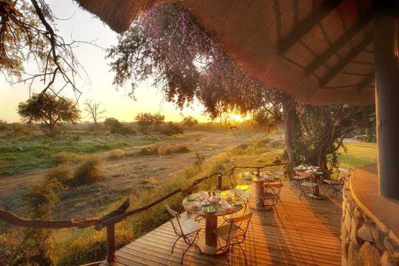 Motswari Private Game Reserve 3