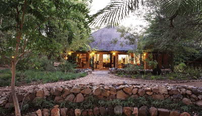 Motswari Private Game Reserve 4