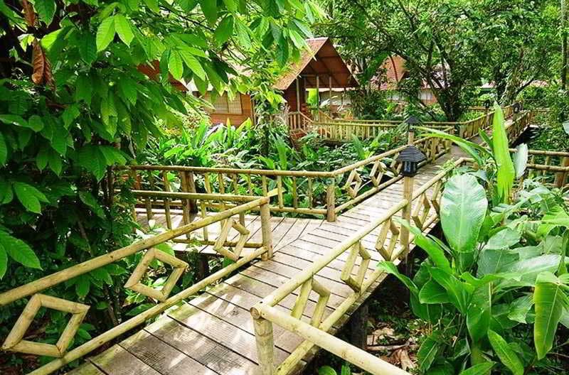 Aninga Lodge Tortuguero photo 1