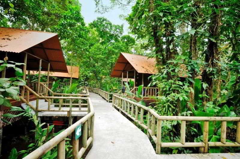 Aninga Lodge Tortuguero 3