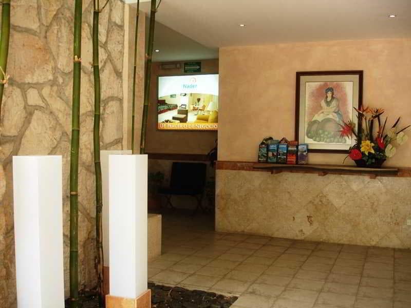 Suites Nader 2