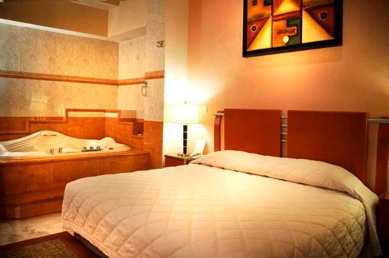 Hotel Suites Campestre 3