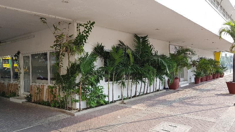 Stil Cartagena 5