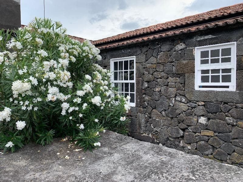 Casa Das Barcas 2