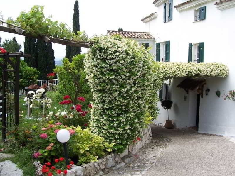 Hôtel le Hameau main